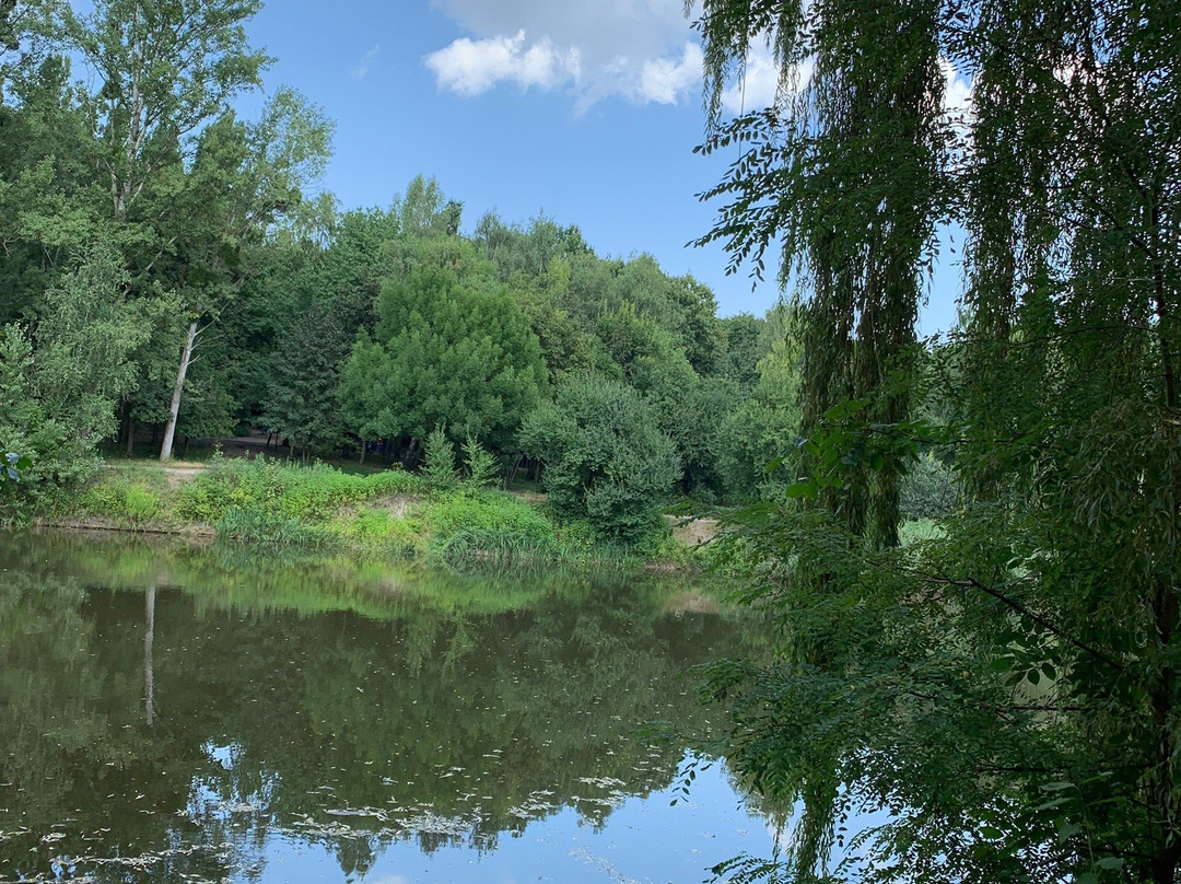 Zhovtneviy Park-Chernivtsi必去景点