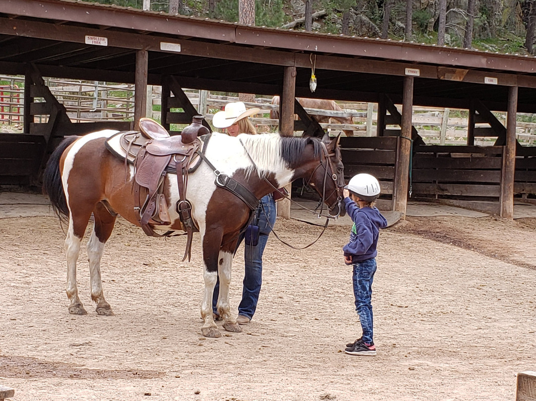 Blue Bell Stables-卡斯特必去景点