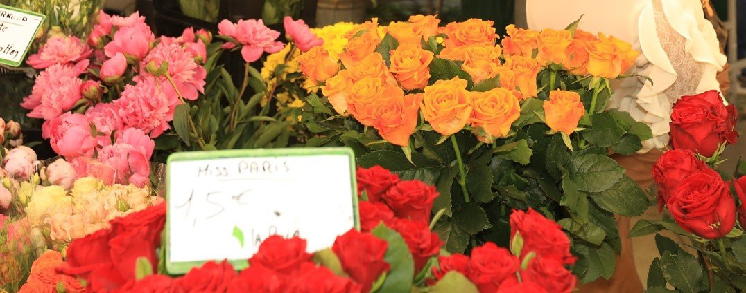 Marche aux Fleurs-普罗旺斯必去景点