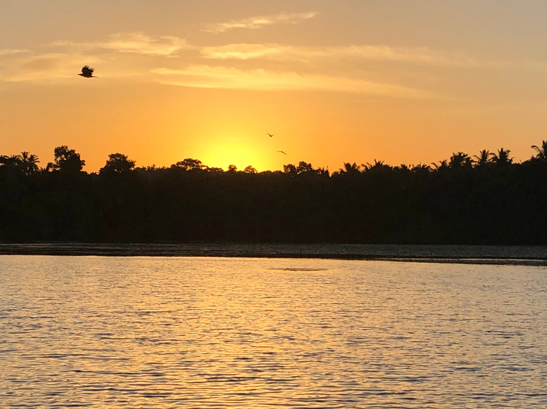 Mawella Lagoon Kayak Tour景点图片