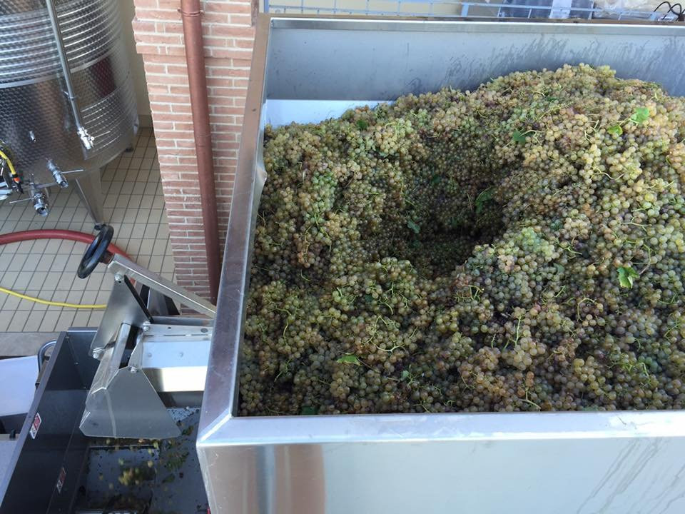 Cantina le Cimate-Montefalco必去景点