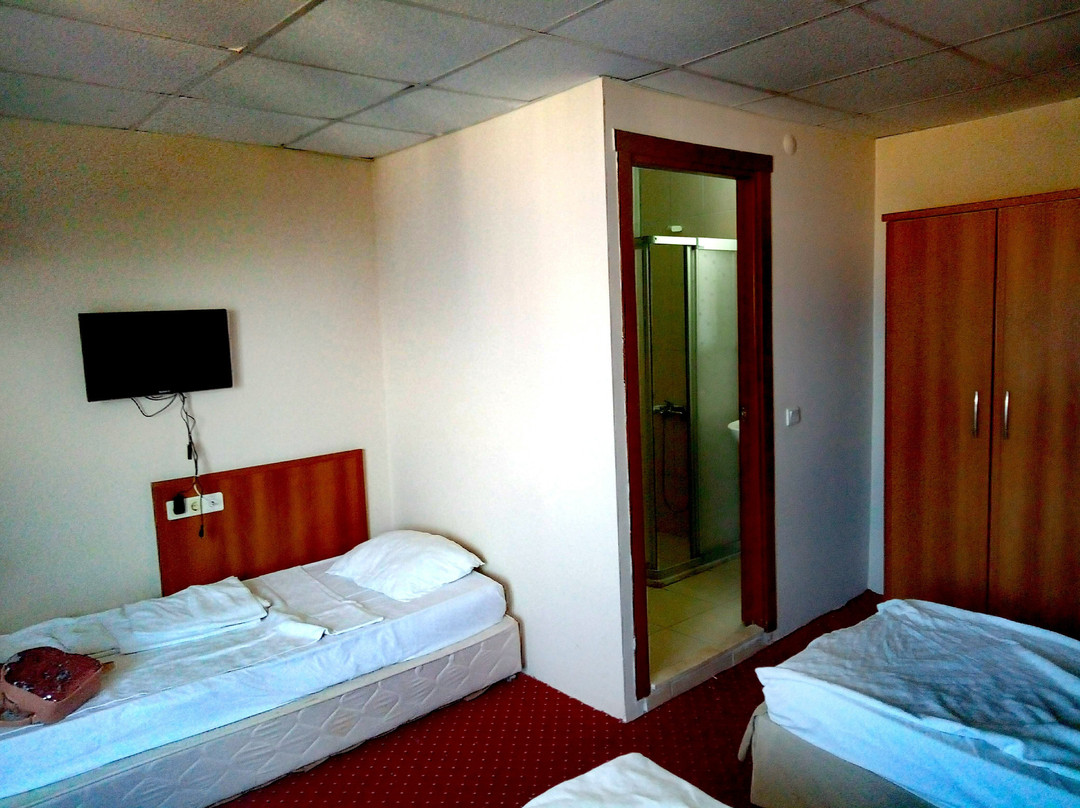 Melisa Garden Hotel主图
