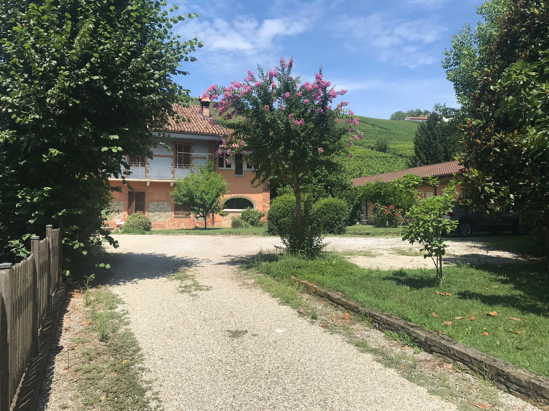 Tenuta Ottocento主图