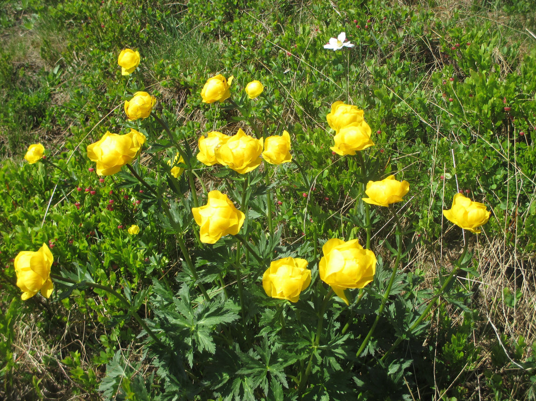 Thurntaler-Sillian必去景点