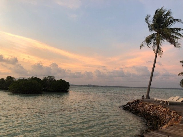 Kura Kura Resort主图