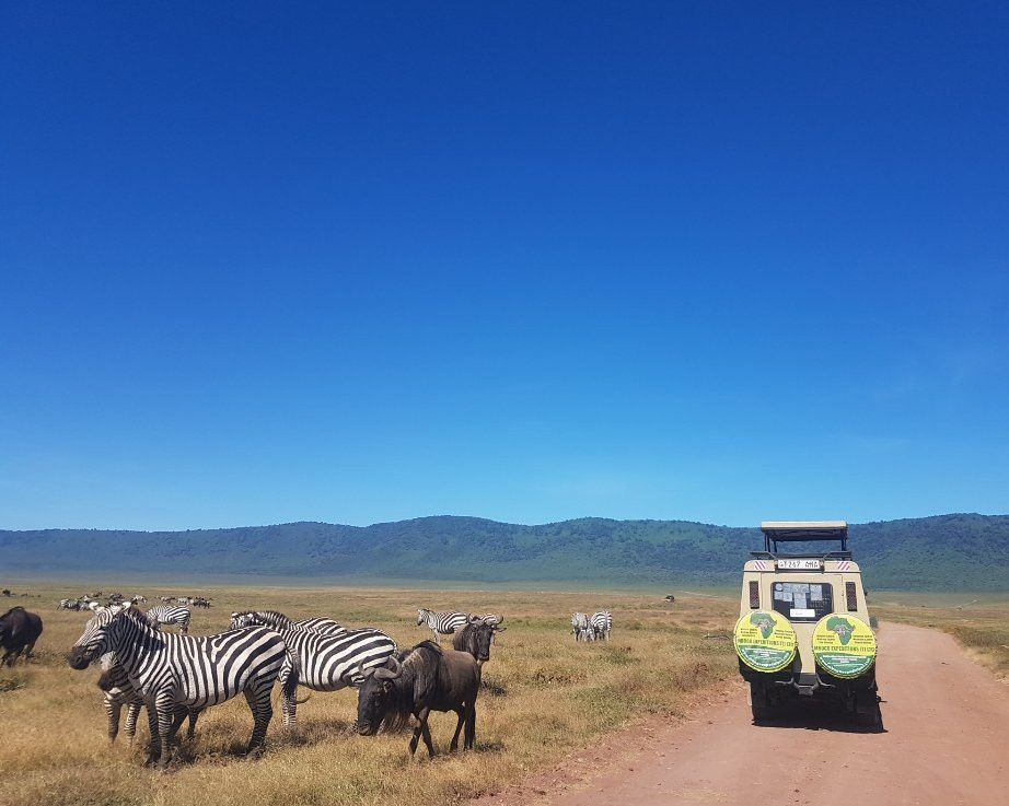 Mbogo Expeditions-阿鲁沙必去景点