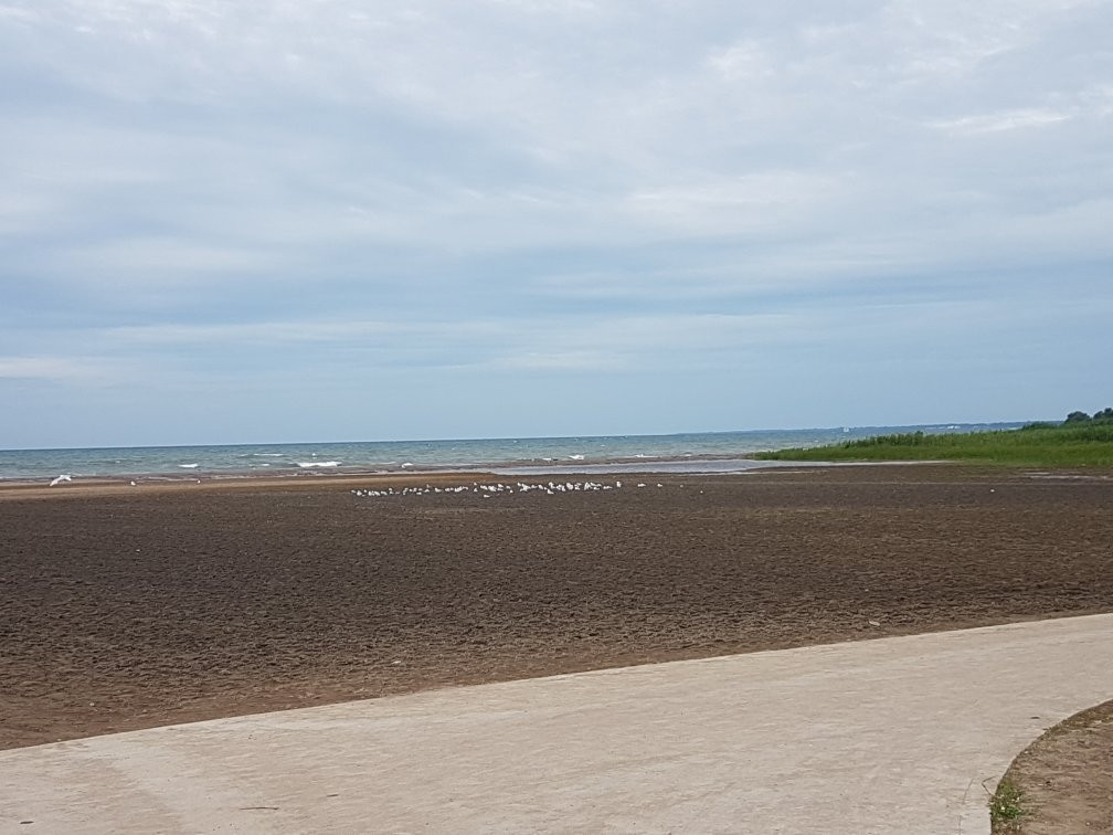 Seacliff Park-利明顿必去景点