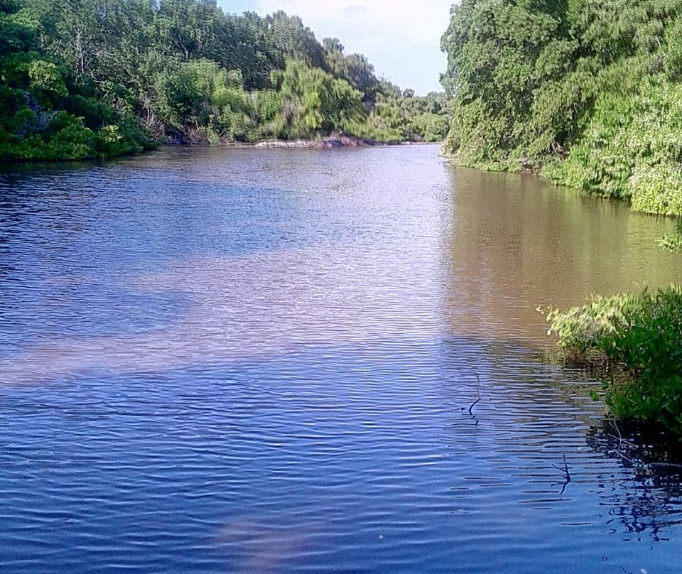Parque Isla Salamanca-Barranquilla必去景点