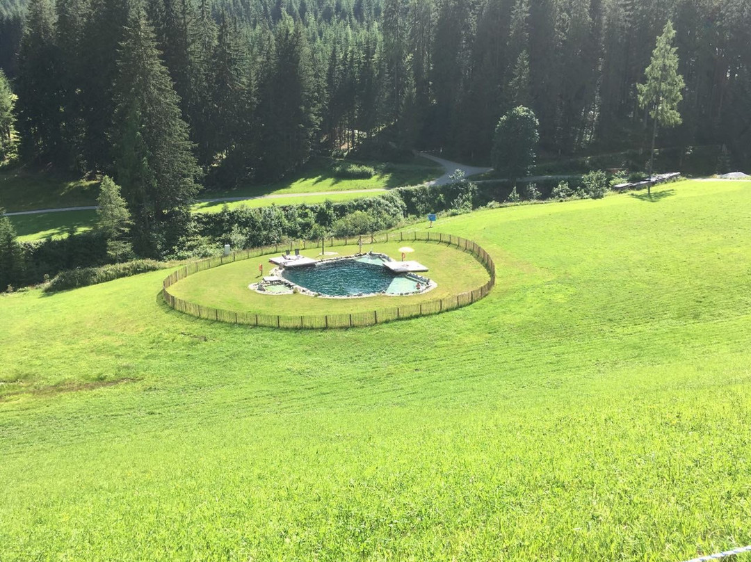 Gsenghof-Alm