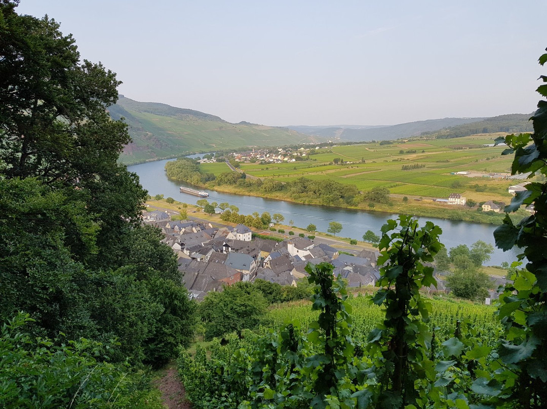 Weingut Gaestehaus Derkum主图