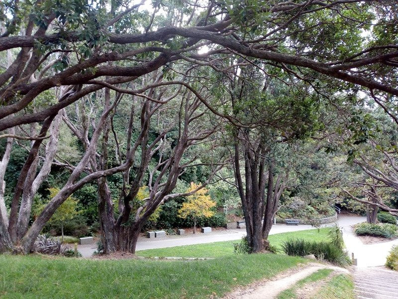 Central Park-惠灵顿必去景点