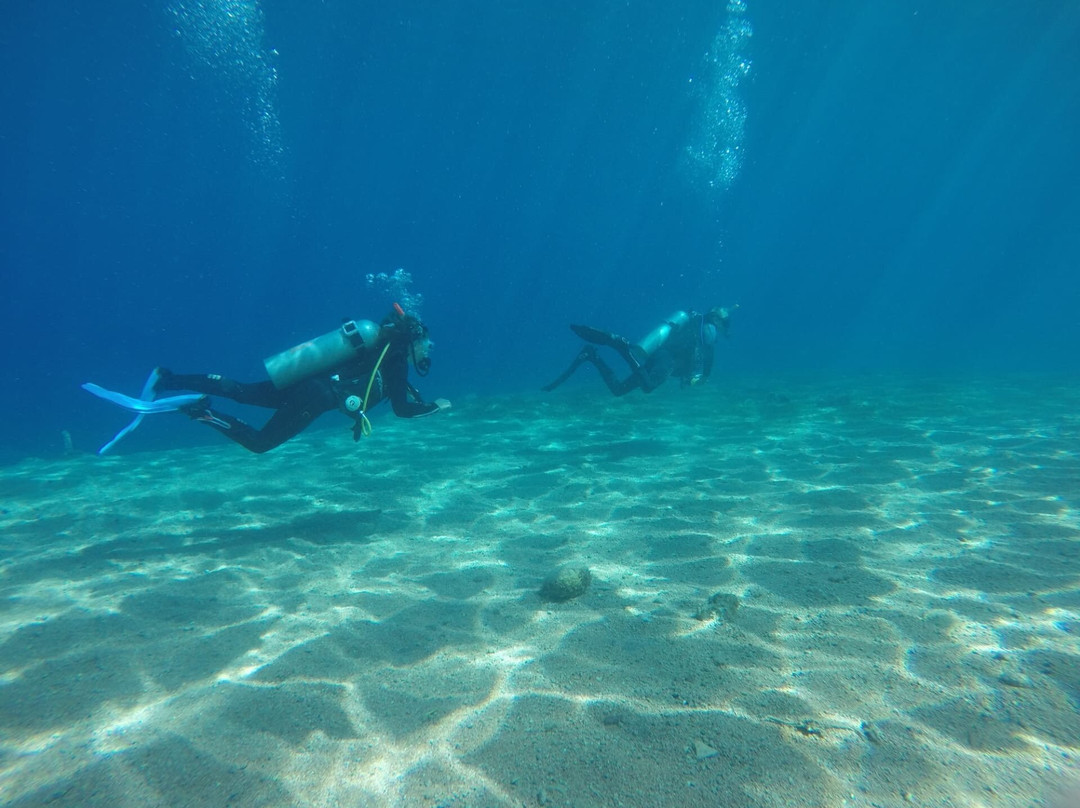 Sinai Divers Backpackers景点图片