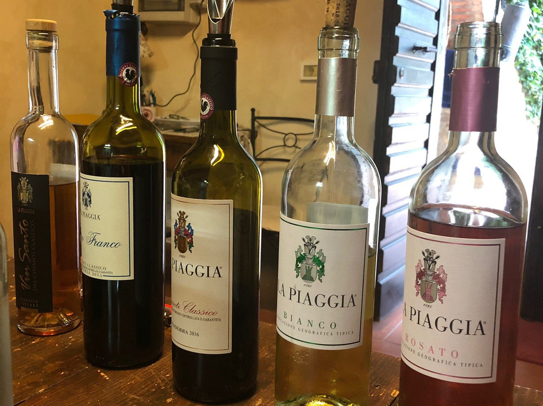 Tuscany Private tours-蓬塔谢韦必去景点