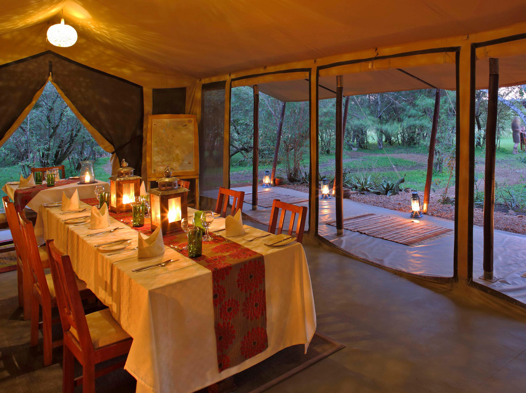 Halal Safaris-拉穆岛必去景点