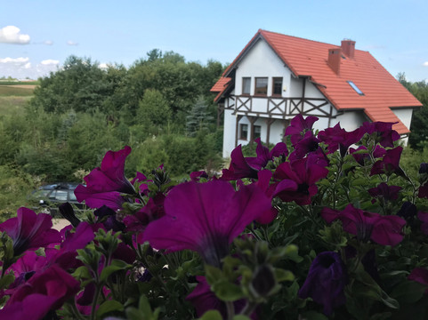 Sulimy旅游攻略图片