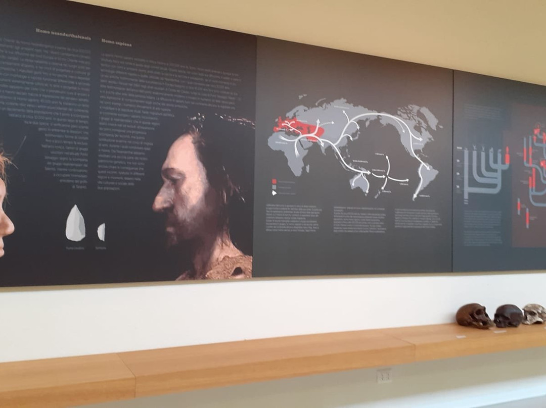 Museo della Preistoria di Nardò-纳尔德奥必去景点