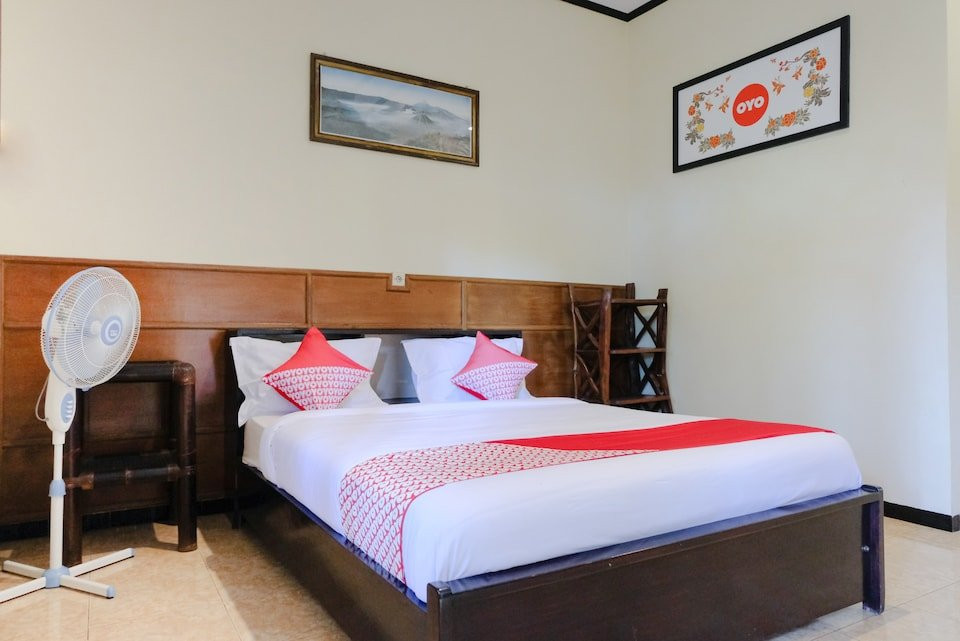 OYO 573 Rani Homestay Bromo主图