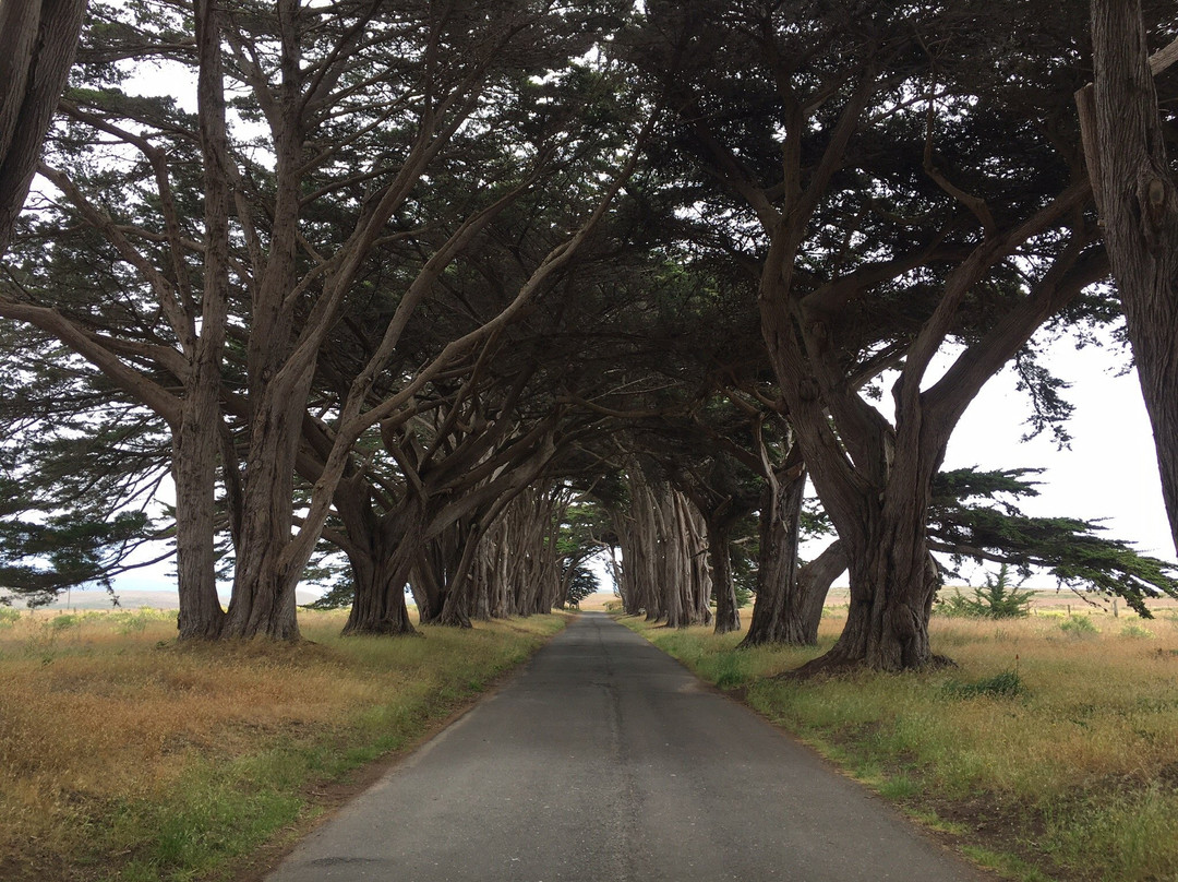Marconi RCA Wireless Stations-Point Reyes National Seashore必去景点