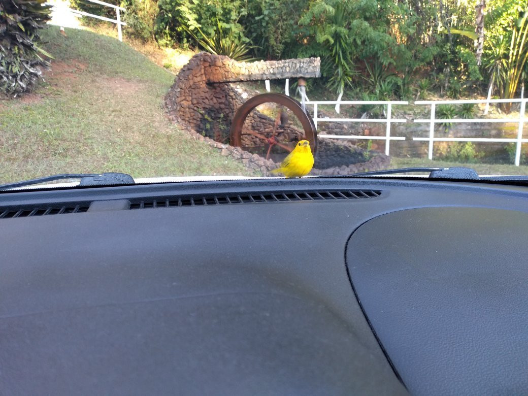 Recanto dos Carvalhos主图