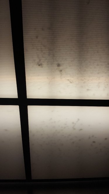 Microtel Inn & Suites by Wyndham Holland-浴室