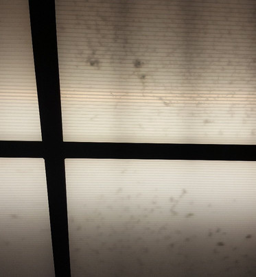 Microtel Inn & Suites by Wyndham Holland主图