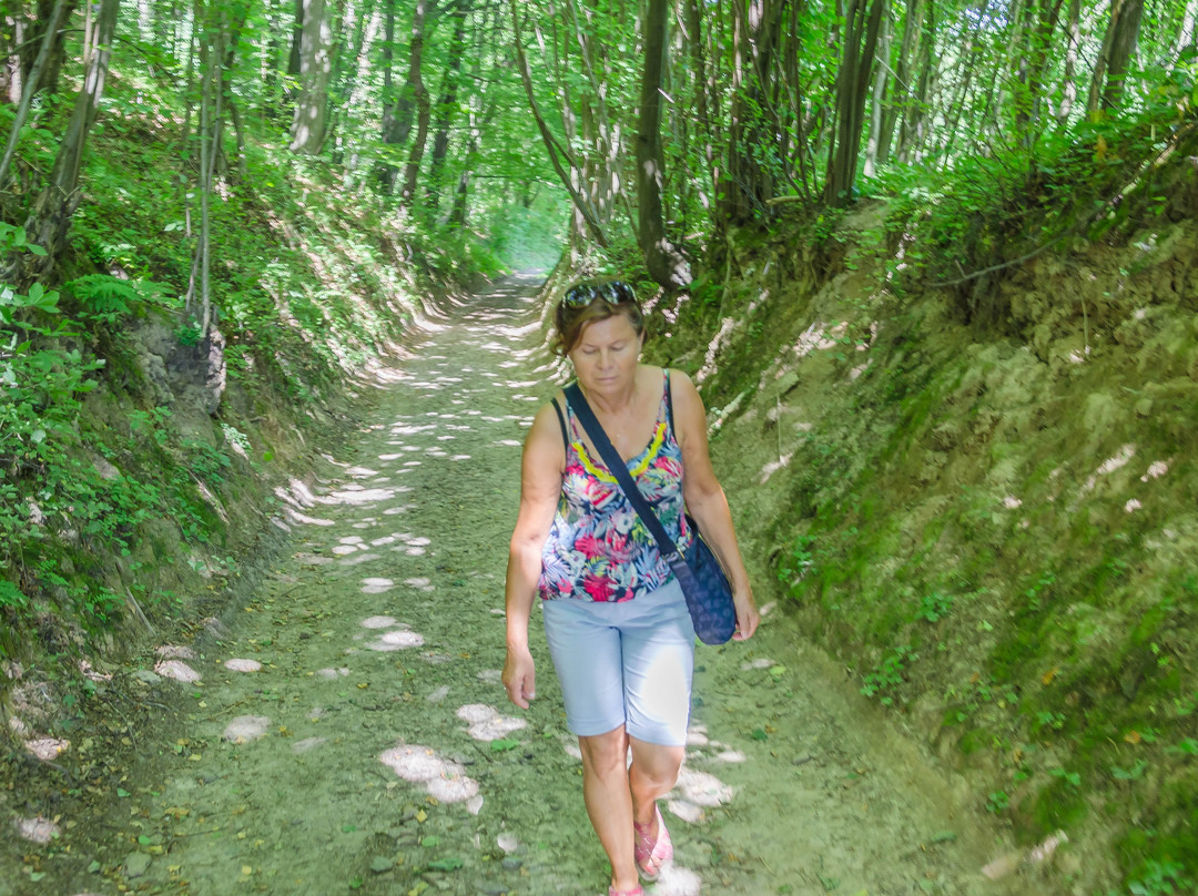 Rezerwat przyrody Zimny Doł-Czułow必去景点