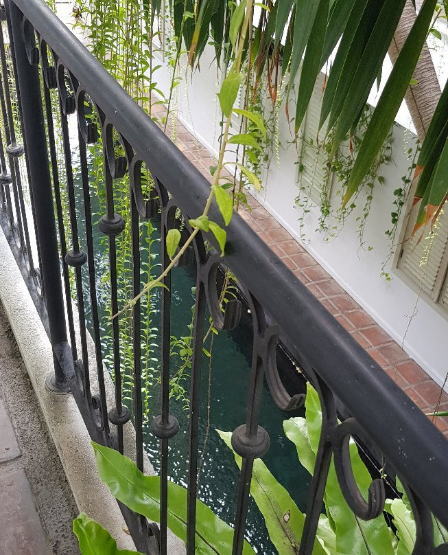 布朗费德酒店主图