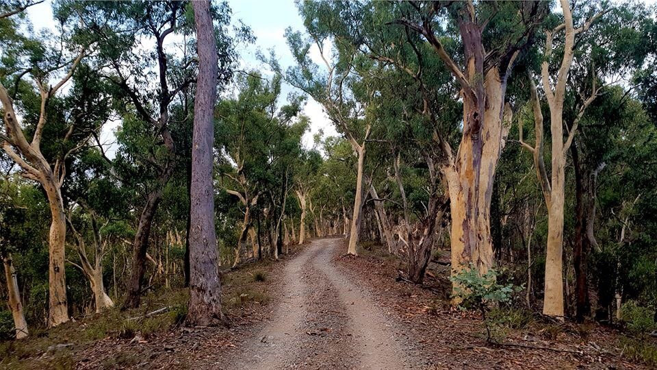 Marrangaroo National Park景点图片