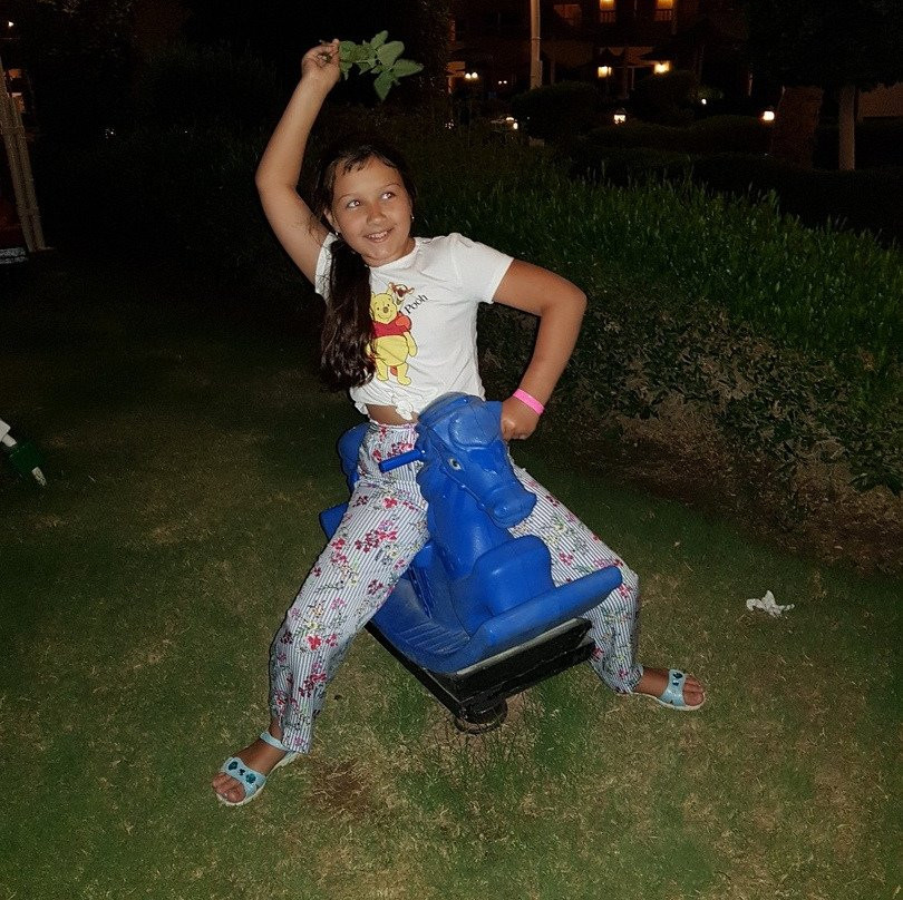 AMC皇家酒店主图