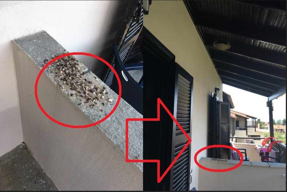 Bellagio Hotel主图