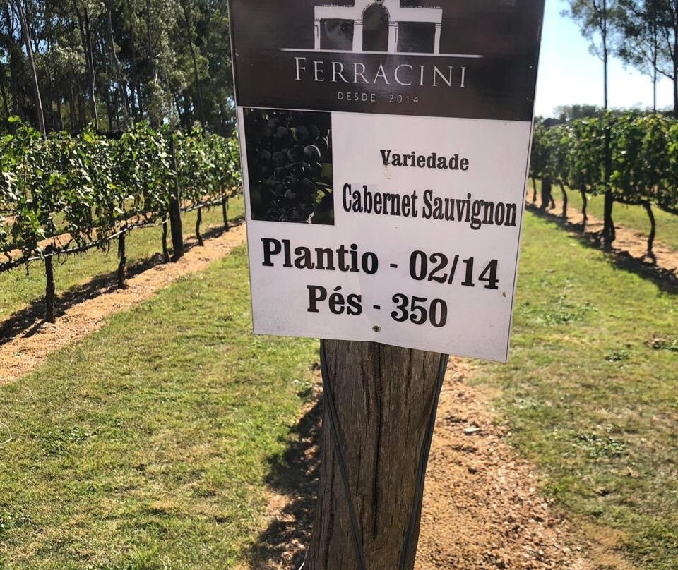 Vinicola Ferracini-Penapolis必去景点