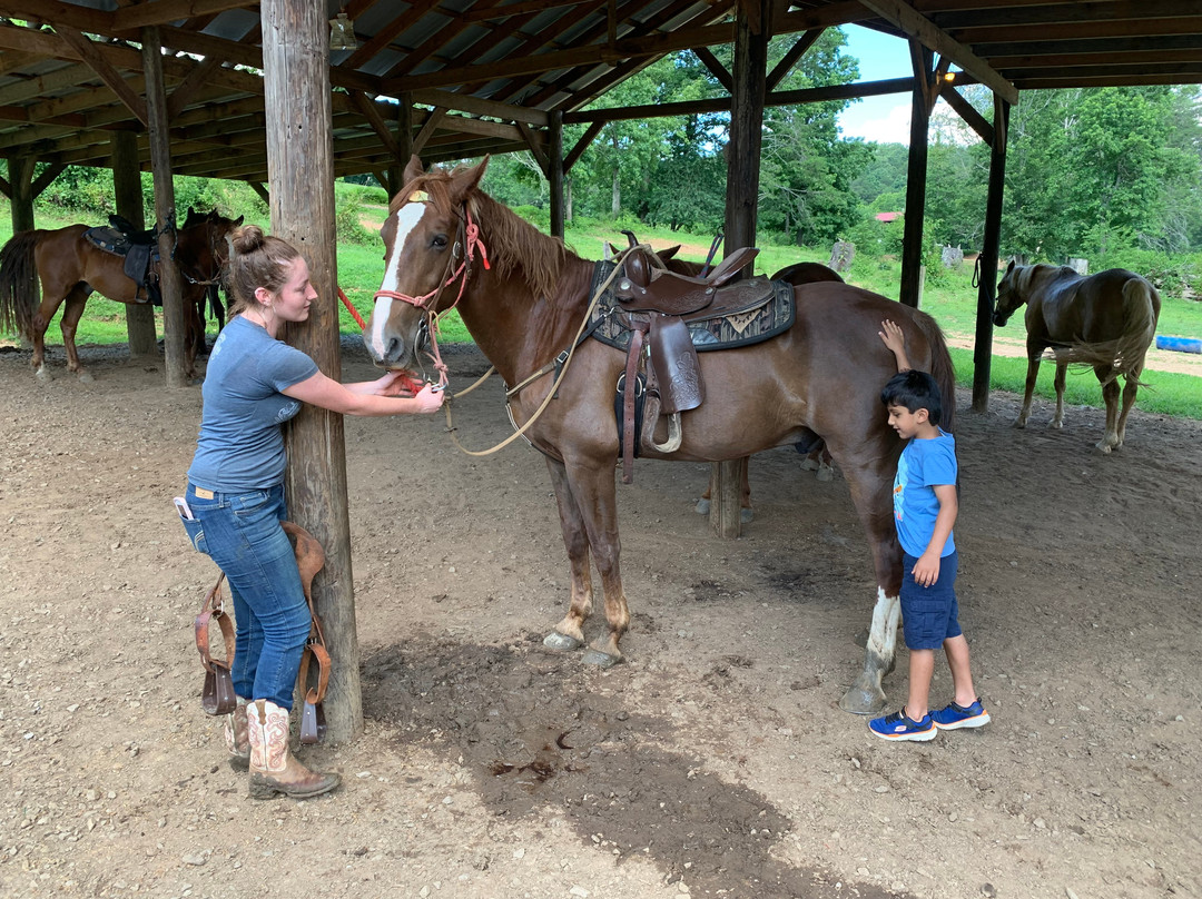 Blue Ridge Mountain Trail Rides At Hells Hollow景点图片