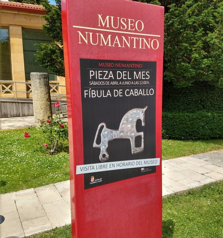 Museo Numantino景点图片