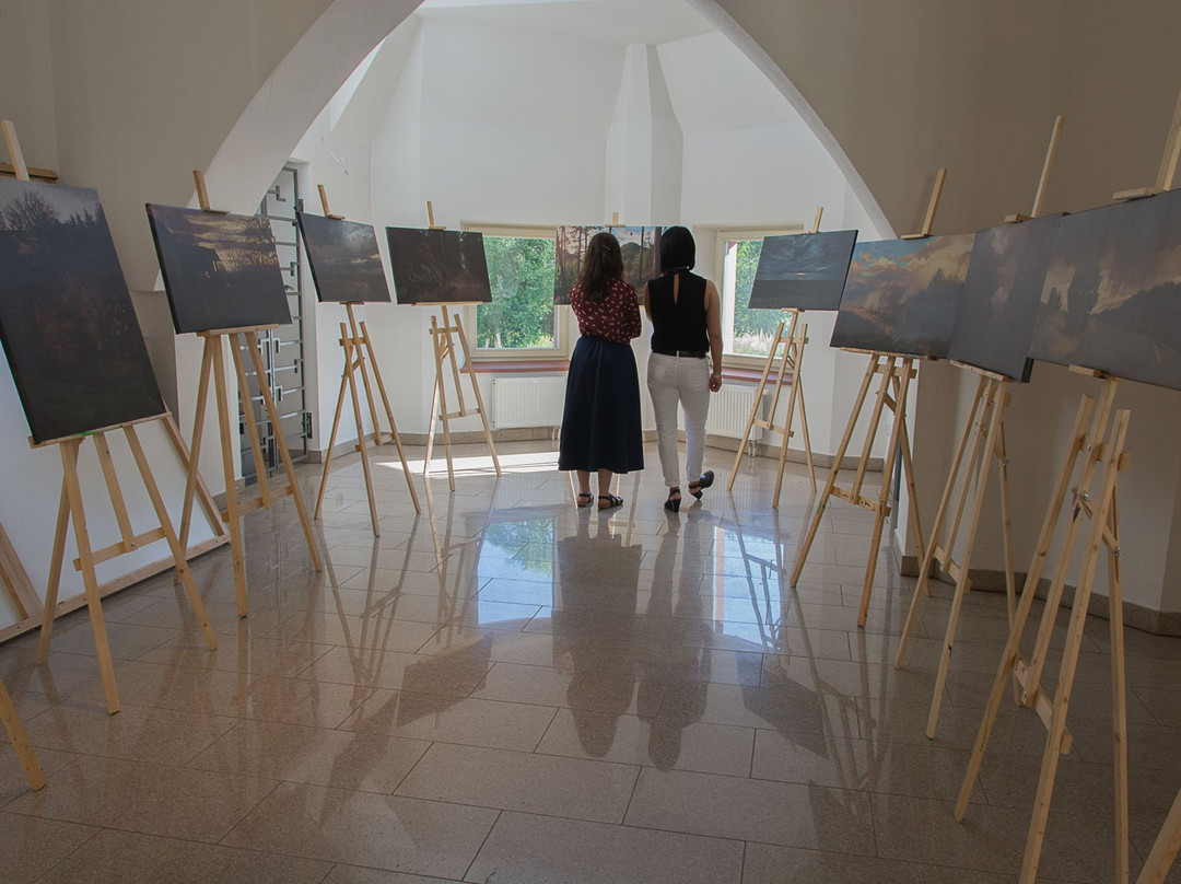 Galeria Sztuki Nizaleznej景点图片