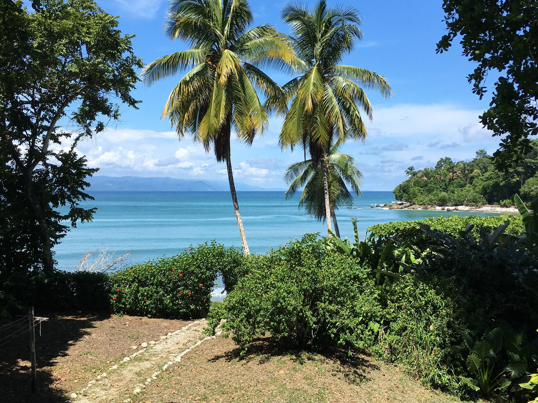 Casa Bambu Beach Resort主图