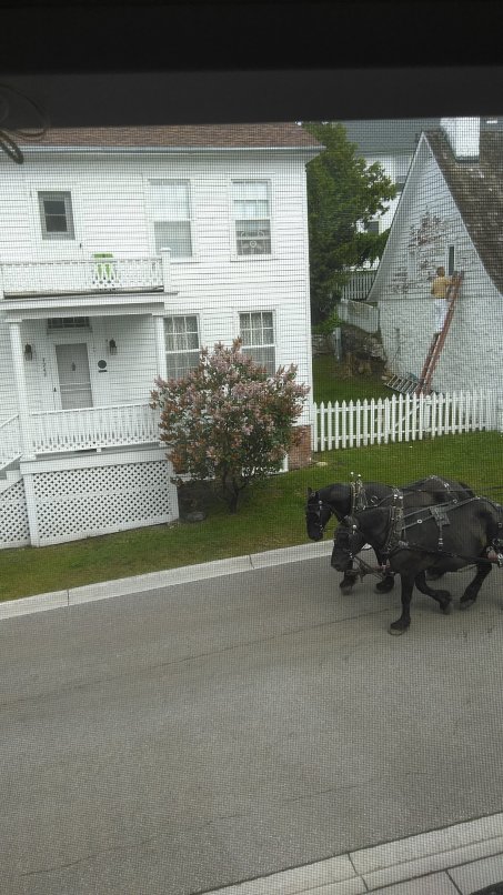 Market Street Inn-酒店景观