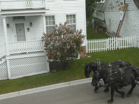 Market Street Inn主图