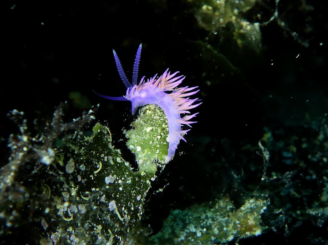 LumbardaBlue-伦巴达必去景点