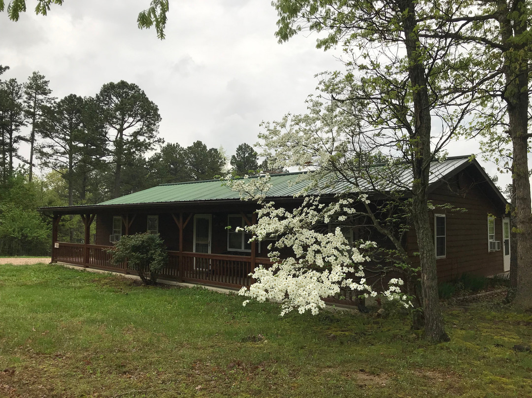 Sleepy Bear Cabins
