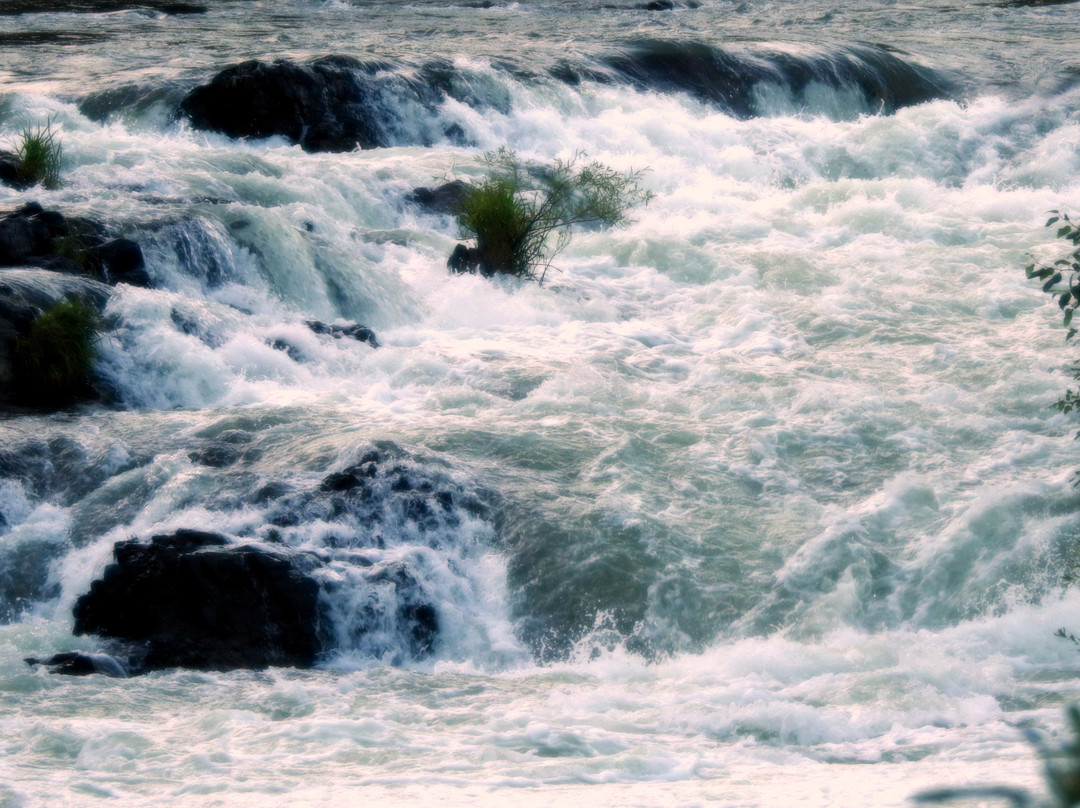 Rogue River-梅德福必去景点