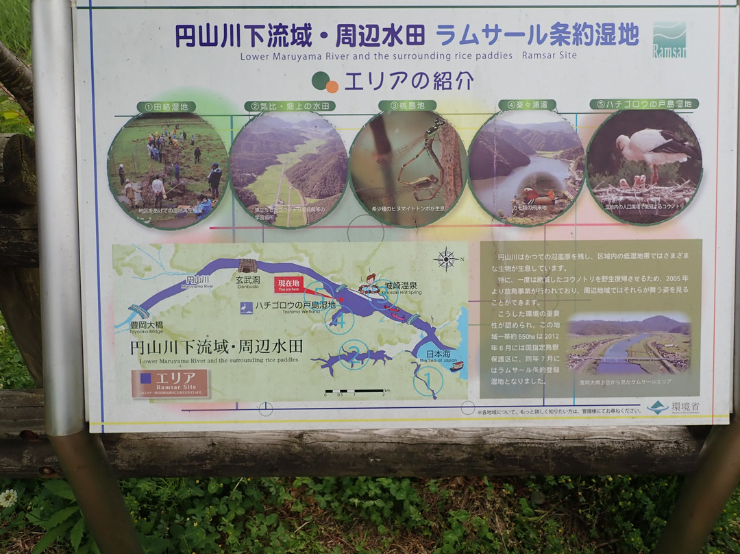 Hachigoro's Tojima Wetland-丰冈市必去景点