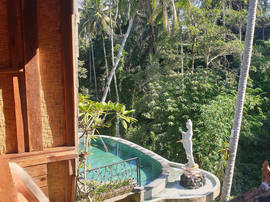 Jungle Lotus Villas主图