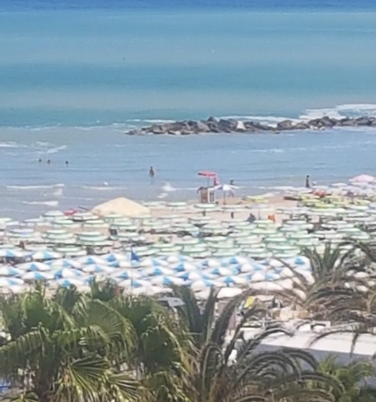 Hotel Ambassador主图