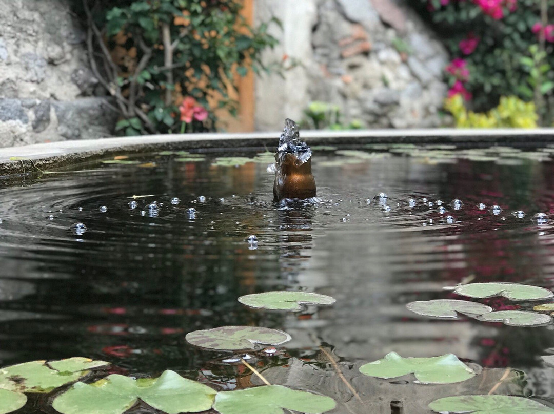 Hacienda Soltpec主图