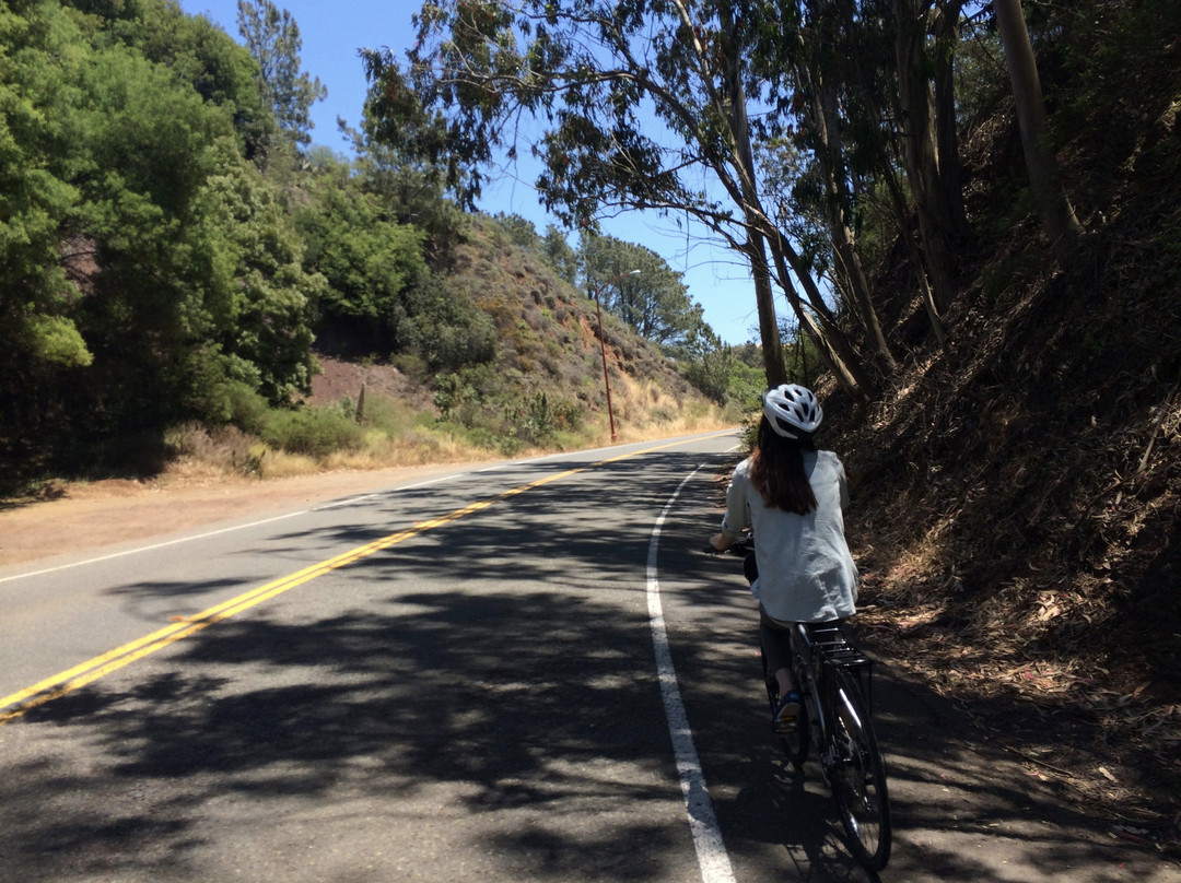 Bike & View - Bicycle Rentals and Tours-旧金山必去景点