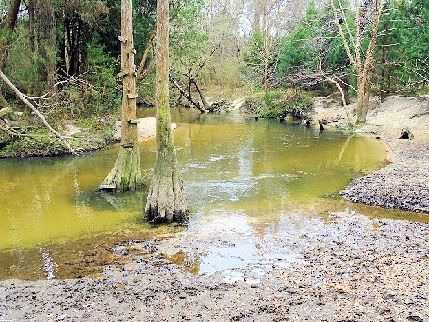 Bohemian Park-费尔霍普必去景点