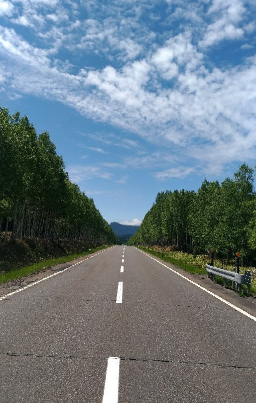 Tokachi Mitsumata景点图片