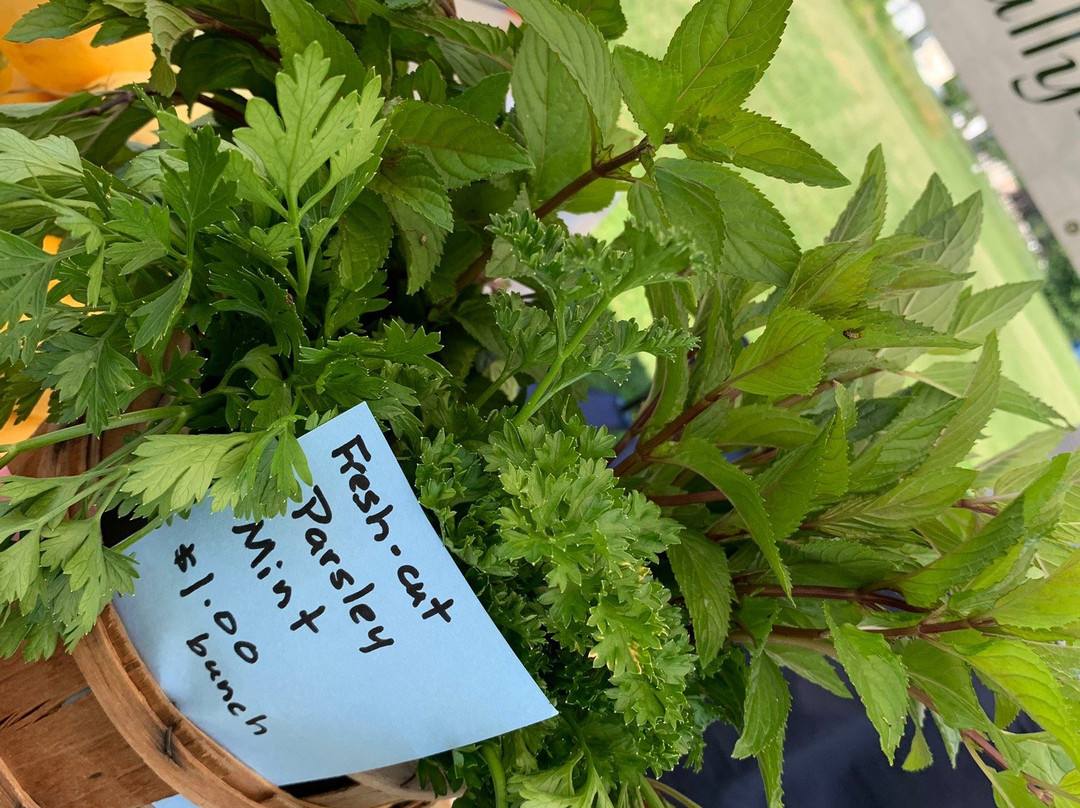 Asbury Church Farmers Market景点图片