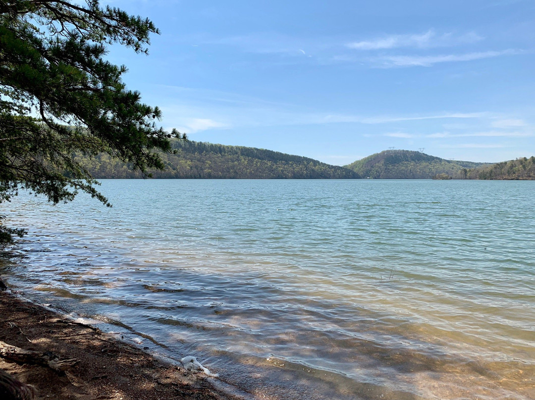 Carvins Cove Natural Reserve-罗阿诺克必去景点