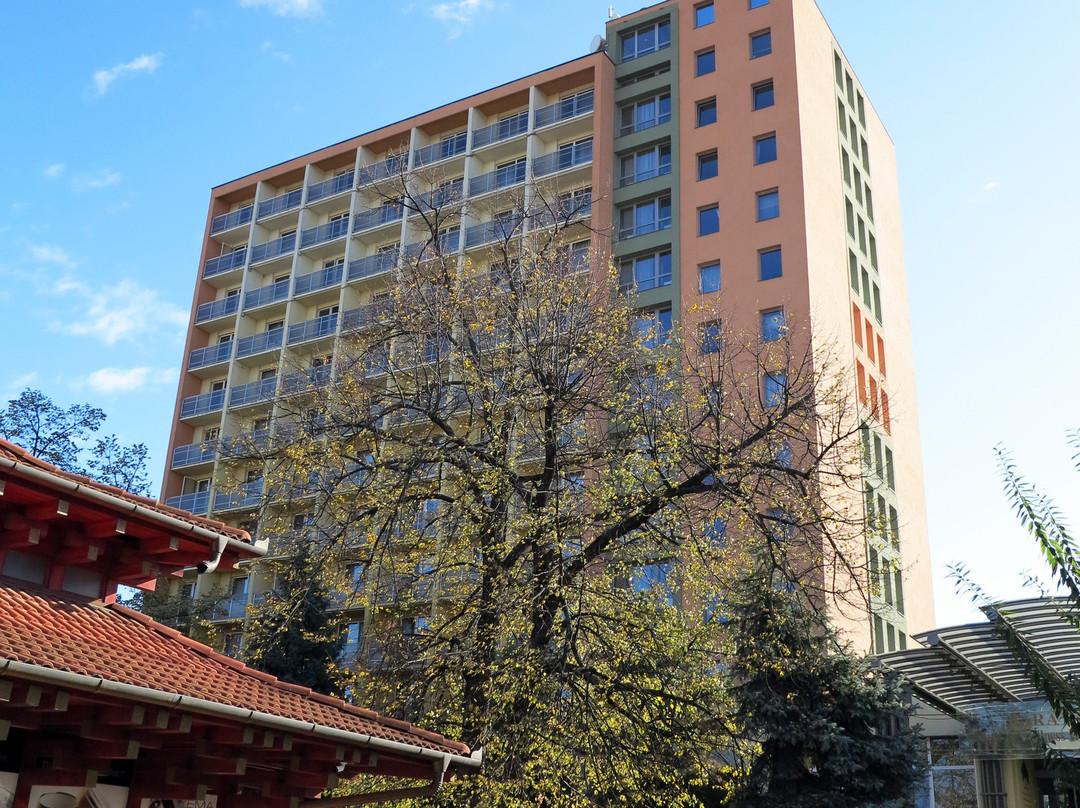 Hotel Barátság Hajdúszoboszló主图